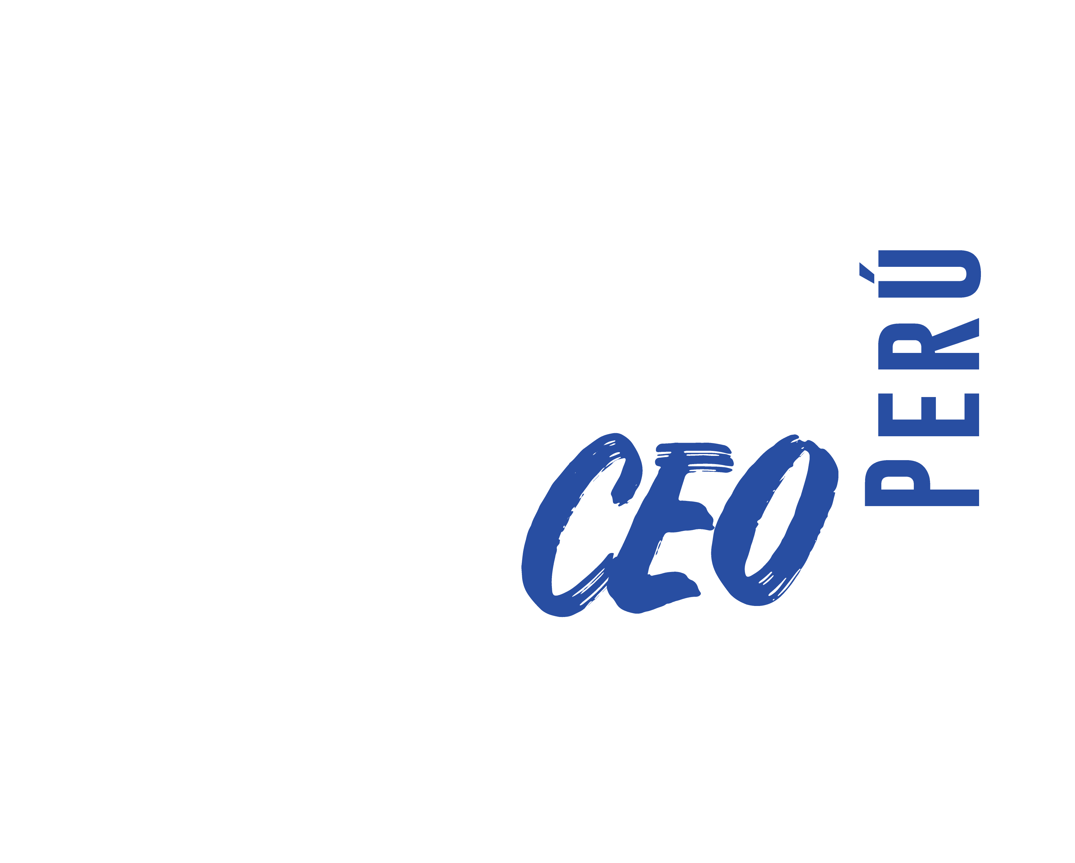 Women CEO Perú